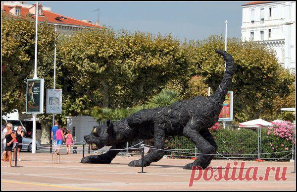 Лазурный берег, Канны. | Фотографии Светлана Верхошинская | 8083 фото