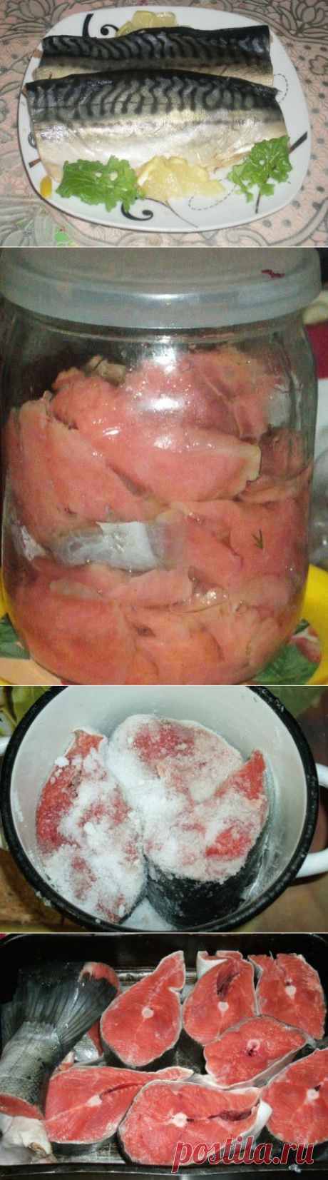 Как я солю рыбку. - Усадьба-вырастим и сделаем своими руками - Группы Мой Мир