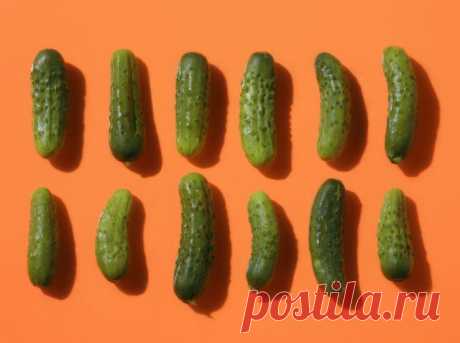 Pickles Cure Social Anxiety – Health News – ALL YOU | Deals, coupons, savings, sweepstakes and more…