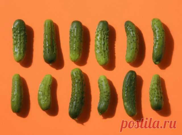Pickles Cure Social Anxiety – Health News – ALL YOU | Deals, coupons, savings, sweepstakes and more…