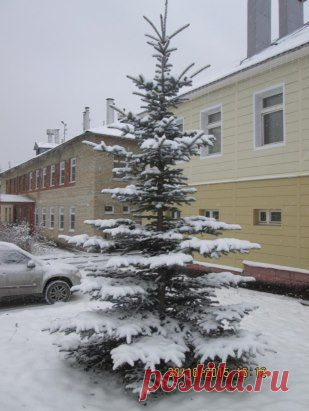 Трехгорный