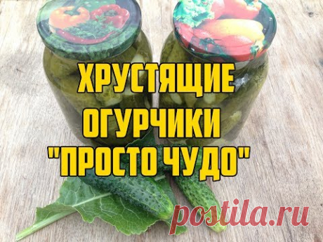 Маринованные хрустящие огурчики "Просто Чудо"/ Самые вкусные маринованные огурчики