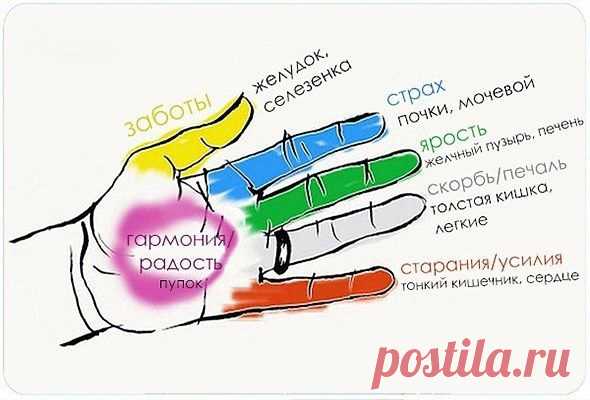 Секрет гармонии тела и души! Оказывается, человеческие органы неразрывно связаны с пальцами

Джин шин джитсу – это древняя форма японского искусства исцеления, которое помогает сбалансировать эмоции, только благодаря стимуляции точек на руках. В основу этого учения положен следующий принцип: каждый палец руки соединен с определенным органом и ему соответствует определенная эмоция.

Если тебе необходимо воздействовать на какой-либо орган, обхвати его другой рукой и подержи ...