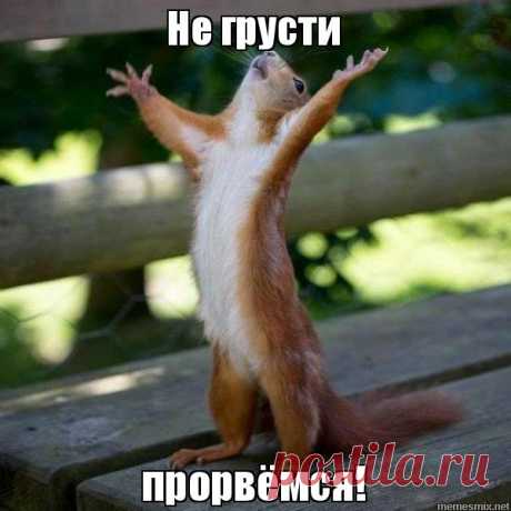 Картинки «Не грусти» (34 фото) ⭐ Забавник