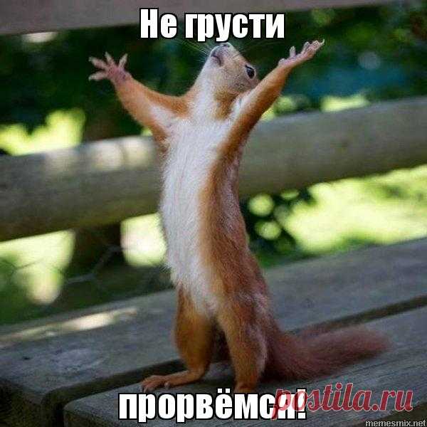 Картинки «Не грусти» (34 фото) ⭐ Забавник