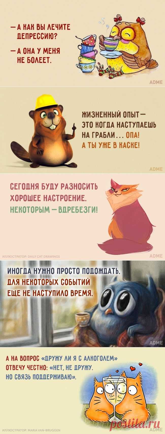 15 открыток для хорошего настроения