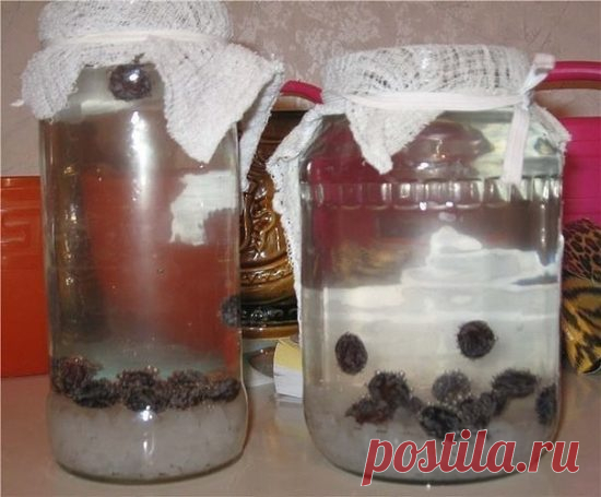 Рисовый квас для суставов