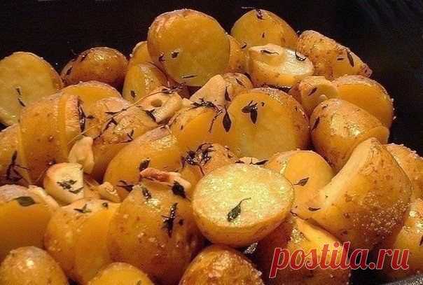 Лучшие кулинарные рецепты: Картофель в пакете. Очень просто и очень вкусно!