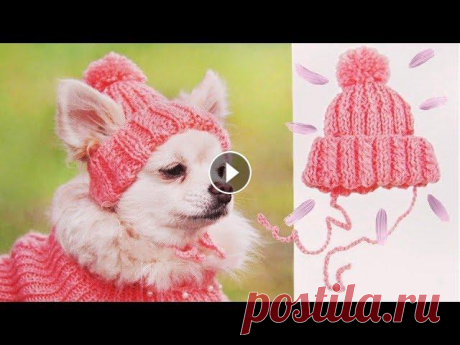 ШАПКА ДЛЯ СОБАКИ | DIY HAT FOR DOG Спасибо за просмотр!...