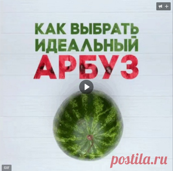 Как выбрать идеальный арбуз