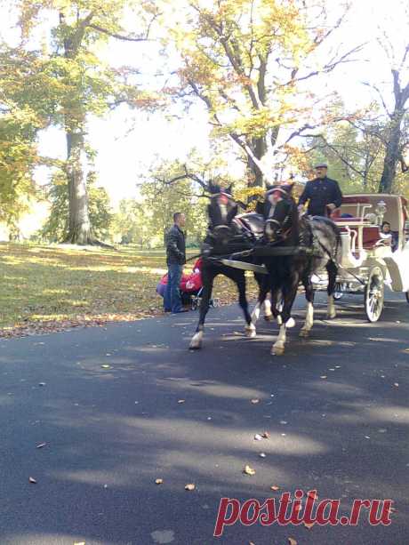 Карету мне ....