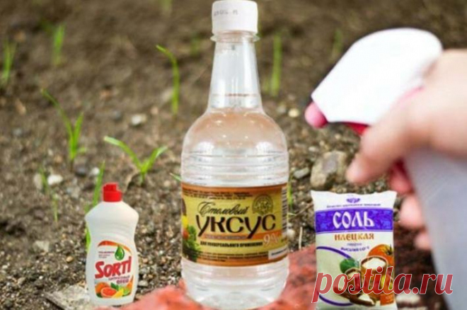 Двор и сад будут чистыми: делаем 