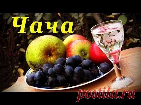 Виноградный самогон - чача или граппа. Рецепт Чачи, в домашних условиях.