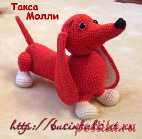 Такса Молли
