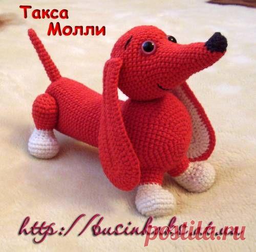 Такса Молли