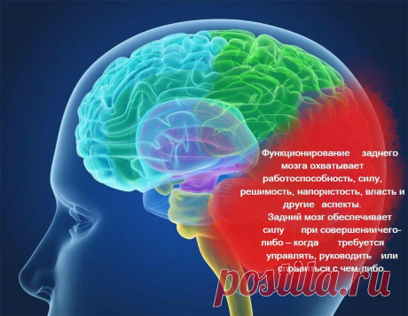 Это Упражнение развивает энергию и напор, уверенность и решительность, мудрость, осознание качества и ценности, воображения.
Упражнение Разделите мозг на три больших отдела. Задняя часть, передняя и верхняя часть. Затем начинаем концентрироваться по несколько минут на каждом отделе с желанием пробудить каждую клетку мозга. Состояние должно быть при этом спокойное, концентрация должна иметь...
Читай пост далее на сайте. Жми ⏫ссылку выше