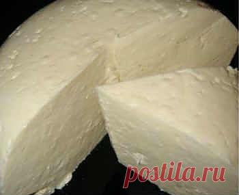 Наш лучший продукт- творог, его полезные свойства | Советы Народной Мудрости