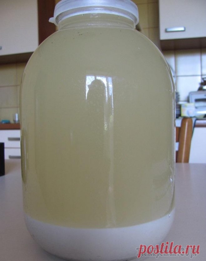 Овсяный кисель Изотова