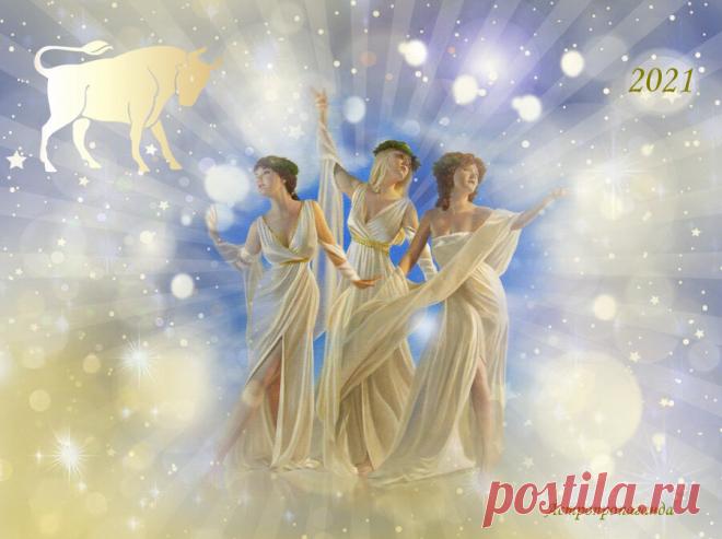 Во что одеться, чтобы понравиться Белому Быку | Астропропаганда | Яндекс Дзен
✨ Автор: астролог Нина Стрелкова. ✧ Традиционно новогодние наряды подбирают под цвет господствующей стихии наступающего года, чтобы понравиться животному, его хозяину и покровителю. В 2021 году хозяин года – Белый Бык, а цвет ему дает уже второй год господствующая стихия Металл. Кроме того, в этом году сильна Земля, это постоянная стихия знака Быка и его аналога в западном Зодиаке – Тельца.