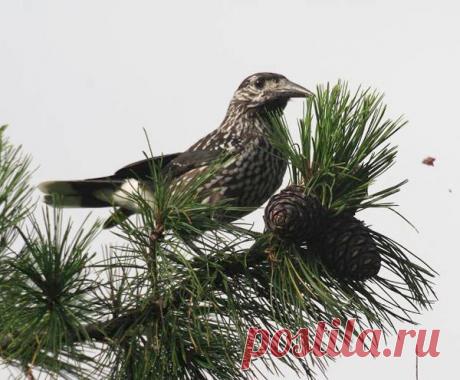Фото 5058, альбом Фото группы - 5047 фото | Фотографии Издательство «Родович» .