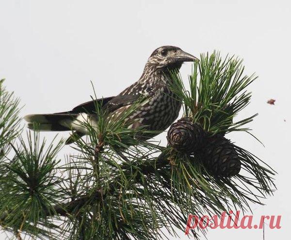 Фото 5058, альбом Фото группы - 5047 фото | Фотографии Издательство «Родович» .