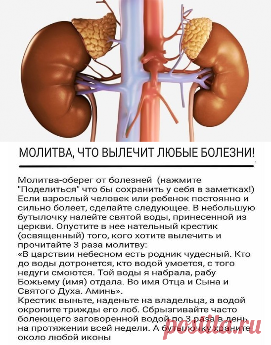 (9) Одноклассники