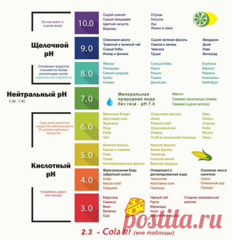 какие продукты защелачивают организм: 10 тыс изображений найдено в Яндекс.Картинках