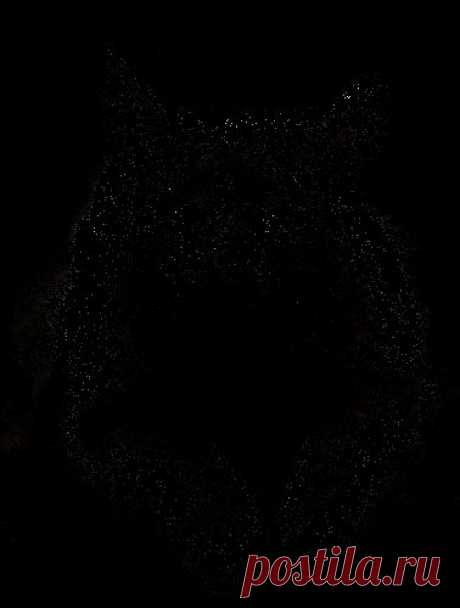 Красивый кот - Животные в картинках - Открытки и картинки