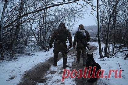 Польский наемник попал в плен и перешел на сторону России. Российские солдаты спасли раненого польского наемника — в плену он пересмотрел свое отношение к украинскому конфликту и перешел на сторону России. Об этом рассказал губернатор Херсонской области Владимир Сальдо. Наемник призвал сограждан сопротивляться политике Варшавы: в Польше забыли, кто такие бандеровцы.