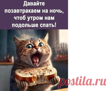 Выпуск №7006 - выпуск анекдотов сайта вокруг смеха