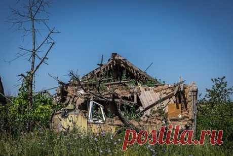 Посольство России в США озвучило число погибших мирных жителей в ДНР и ЛНР. Посольство России в США озвучило число погибших мирных жителей в Донецкой и Луганской народных республиках (ДНР и ЛНР) с февраля 2022 года.«Вызывает недоумение замалчивание преступлений вооруженных сил Украины. Погибли более пяти тысяч мирных жителей, включая почти 200 несовершеннолетних», — указали в дипмиссии.