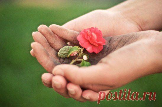 Не меняется мир со временем,
Глупость,тут же плодится глупостью.
Но надеемся мы тем не менее,
Что не будем заразными скупость.
Что родятся сердца вдруг смелые,
И объятья найдут объятия,
Зависть чёрная станет - белою!
И изменятся восприятия...
Зашумят вдруг дожди вселенские,
Смоют с наших лиц лицемерие!
И руками мужскими и женскими,
Мы посадим цветы - доверия.