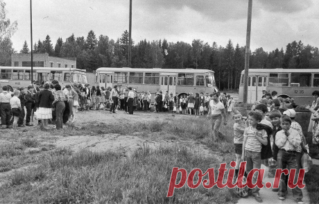 Вы помните чем кормили в пионерлагере СССР? | Ярмарки монет и антиквариата | Яндекс Дзен