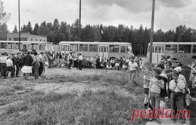 Вы помните чем кормили в пионерлагере СССР? | Ярмарки монет и антиквариата | Яндекс Дзен