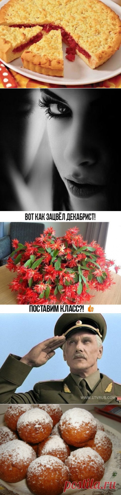(3) Одноклассники