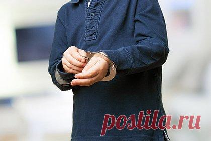 В России предложили ввести уголовную ответственность с 12 лет
