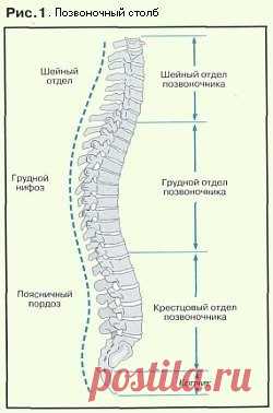 Упражнения для укрепления позвоночника