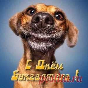 Новые Картинки С Днем Бухгалтера (44 Лучшие Открытки) | Всё для праздника