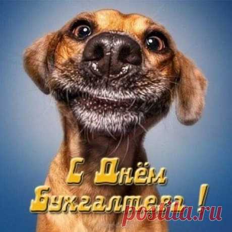 Новые Картинки С Днем Бухгалтера (44 Лучшие Открытки) | Всё для праздника