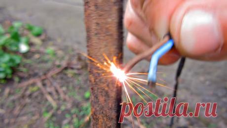 Легкий способ добыть дождевых червей для удачной рыбалки без рытья в земле за 35 секунд с помощью электрического тока