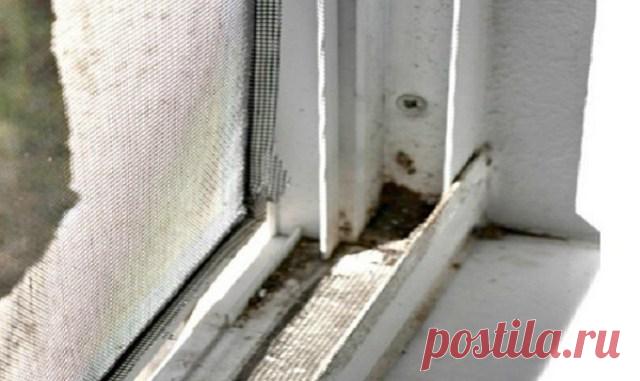 Научись быстро мыть окна с этим простым трюком! Всего пару движений, и чистота гарантирована… — Копилочка полезных советов