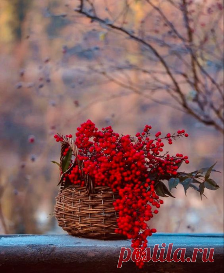 i (564×688)