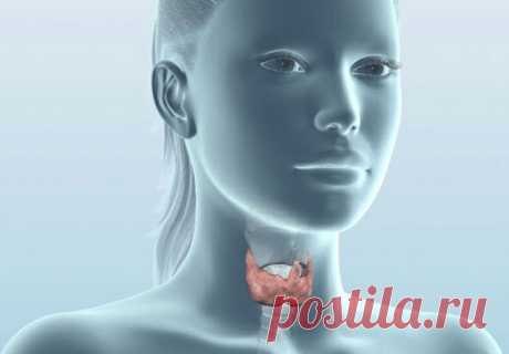 Плохо переносите холод? Проверьте щитовидную железу! | Всегда в форме!