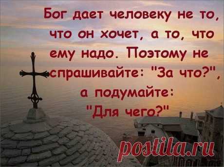 Без комментария