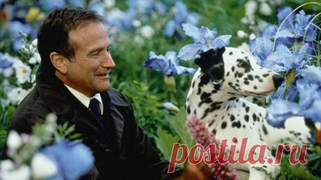 15 безумно красивых фильмов, где каждая минута — шедевр