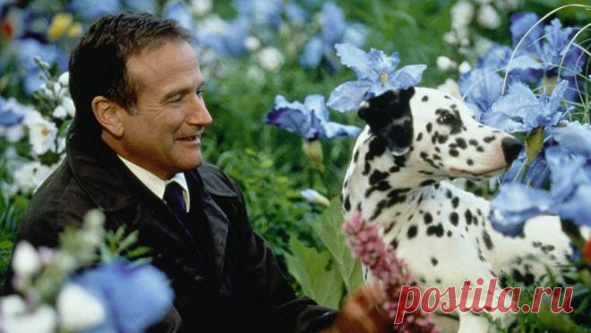 15 безумно красивых фильмов, где каждая минута — шедевр