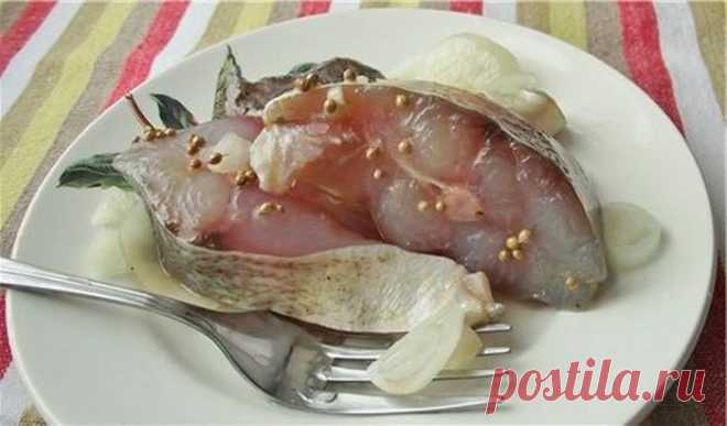 Рецепт засолки толстолобика в стеклянной банке. Вкусный и нежный!