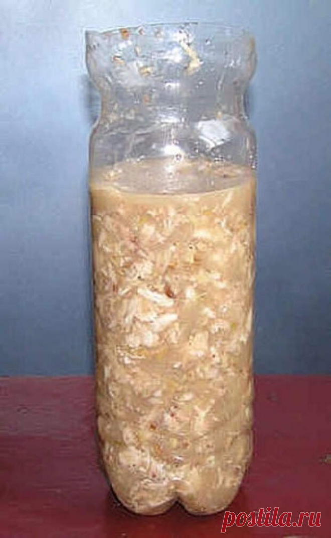 Куриный рулет в бутылке