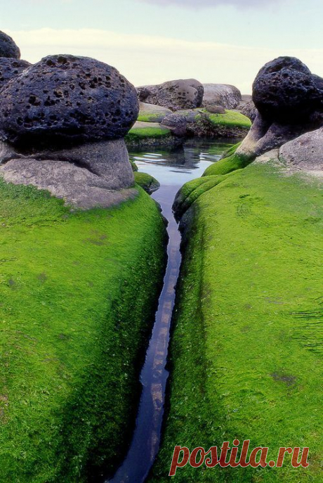 Mossy Inlet, Iceland. Утес - мохом оброс.
