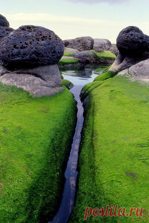 Mossy Inlet, Iceland. Утес - мохом оброс.